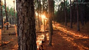 Музыка Для Беременных Красивая Музыка Для Будущих Мам ♫????