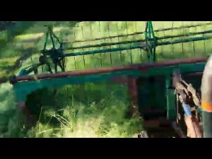 Самодельная жатка на Т-25 в работе, вид с кабины