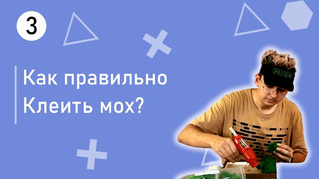 Как работать со мхом? Урок по обучению работы со стабилизированным мхом