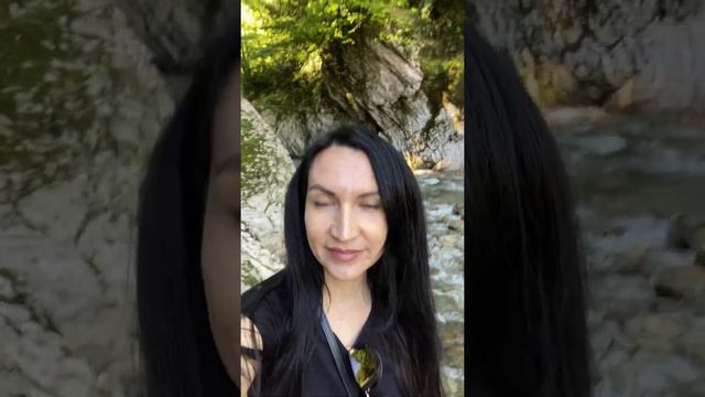 Тисо-самшитовая роща #сочи #самшитовая роща