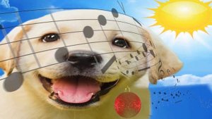 расслабляющая музыка для собак ? эффективно ? для сна, успокаивает усыпляет беспокойную собаку