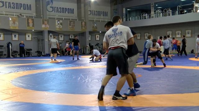 Новый борцовский сезон Романа Власова смотреть онлайн