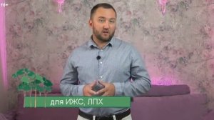 На каком расстоянии от границ участка можно сажать кусты и деревья?
