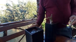 Биокамин своими руками за час