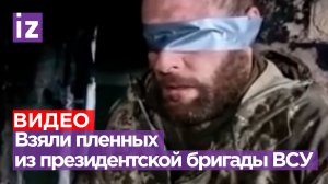 «Быстро вас взяли? - Да!»: наши бойцы захватили в плен боевиков из президентской бригады ВСУ