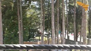 Отель Родина