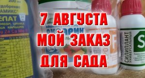 7 августа. Мой заказ на WB для сада.mp4