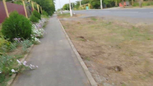 Деревня Золотарёво в Ростовской области. смотреть онлайн