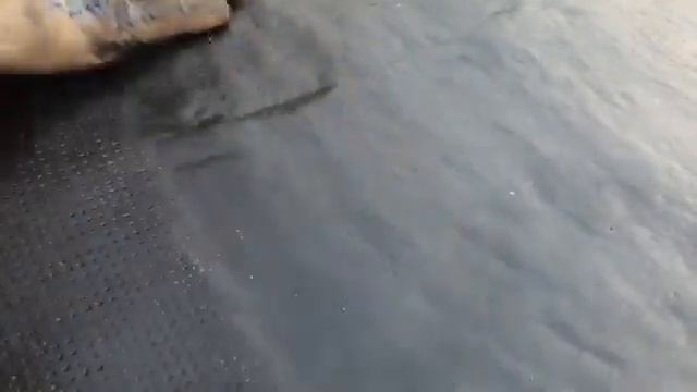 Ремонт_крытия_гаража.Техника_наплавки_рулонного_материала