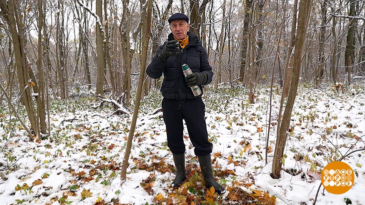 Прогулка в парке с пользой для здоровья. Доброе утро. Фрагмент выпуска от 23.11.2023