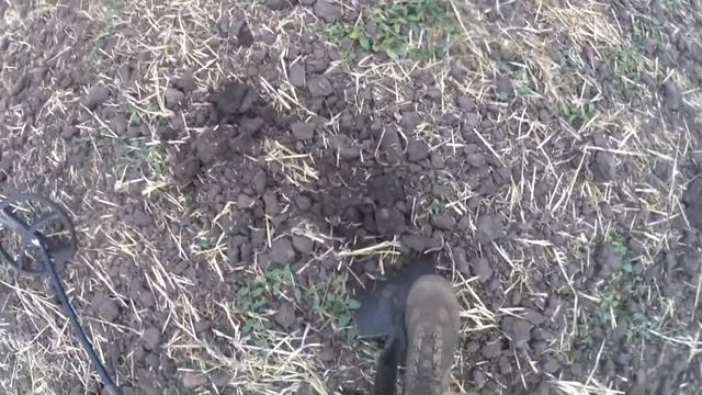НЕОЖИДАННЫЕ НАХОДКИ НА ЦАРСКОЙ ДОРОГЕ!