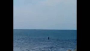 Тримаран в Айдаре