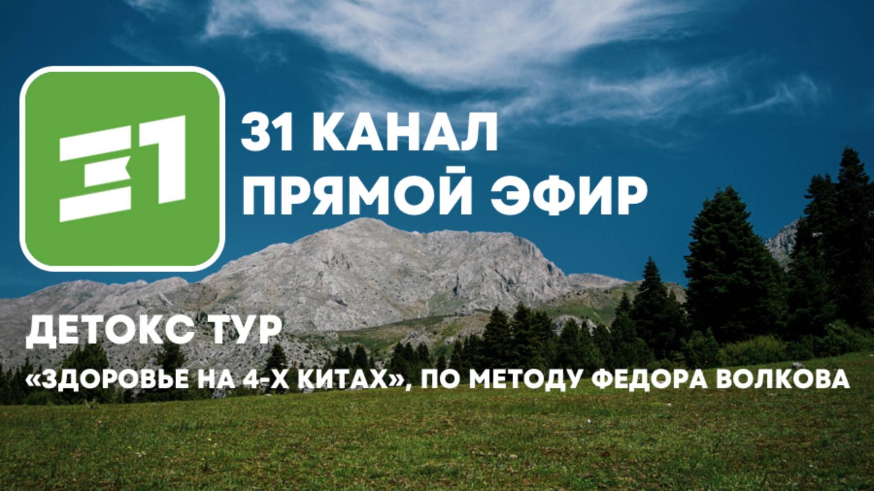 Центр Волкова. Детокс. Нужен ли он организму_ Прямой эфир 31 канал. (2)