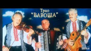 ПРИЯТЕЛИ - ТРИО ВАРОША