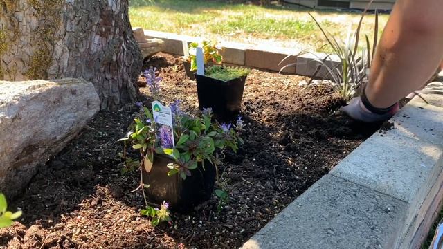 LARGE BACKYARD MAKEOVER | BACKYARD MAKEOVER ON A BUDGET | HOME IMPROVEMENT DIY PROJECTS ON A BUDGET смотреть онлайн