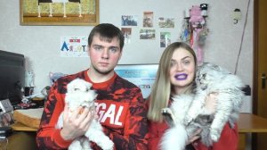 Последнее видео кота Кевина, Билли, Ариелы | теперь всё по-новому!