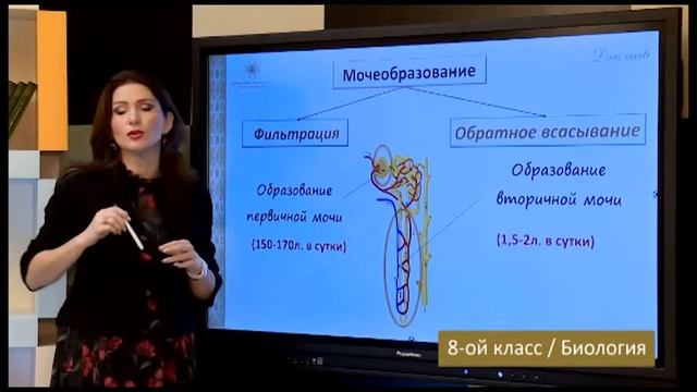 “Dərs vaxtı”: 8-ci sinif dərsləri ( rus bölməsi) (12.03.2021) смотреть онлайн