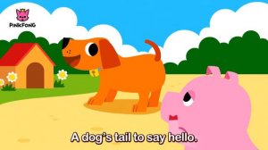 Did You Ever See My Tail    Animal Songs   PINKFONG Songs for Children