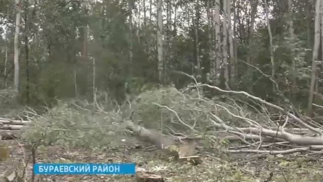 Лучшие лесорубы Башкирии живут в Дуванском районе смотреть онлайн