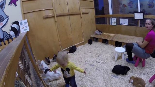 Контактный зоопарк и дети / Влог смотреть онлайн