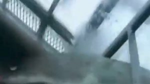 Нападение большой белой акулы  Great White Shark attack on humans