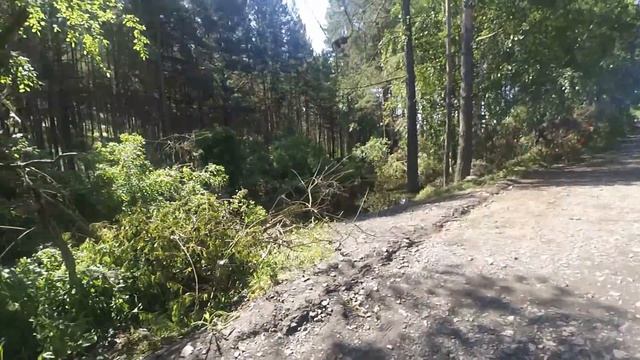 VLOG: Дачи после наводнения в Тулуне смотреть онлайн