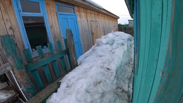 Запекаю курицу / Варю спагетти / Коты нажрались до отвала / Приготовление еды смотреть онлайн