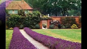 Простые и красивые рабатки вдоль дорожки