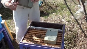 Расширение гнезда пчел весной - семьи середнячки