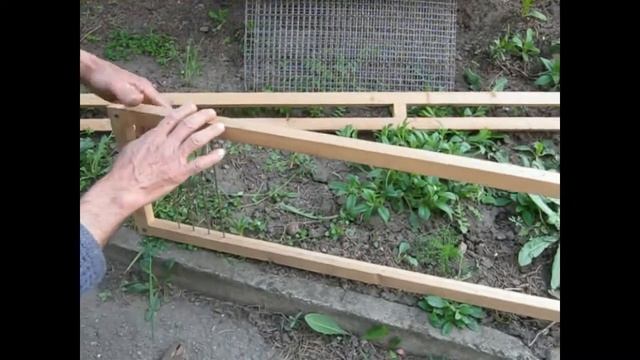 КЛЕТКА ДЛЯ ПЕРЕПЕЛОВ Своими Руками. Изготовление клетки. Содержание перепелов.