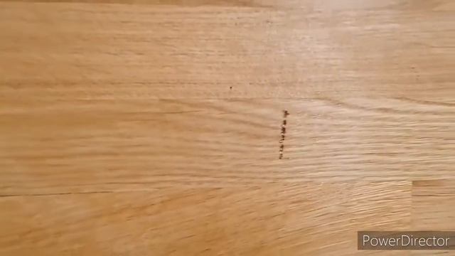 Столешница из массива дуба и муки хэндмейщика. Масло для дерева belinka interier. смотреть онлайн