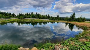 Участок с прудами для форели и осетра.
#участокспрудом #пруднаучастке #садовыйпруд #пруддлярыбы