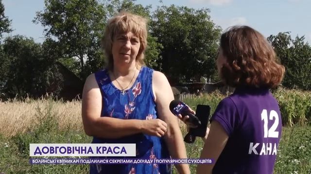 Кермек / Статиця / Сухоцвіти на Волині смотреть онлайн