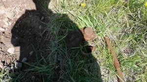 метталлокоп 2022... хожу по выбитам местам симплекс плюс радует...