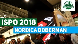 Горные лыжи Nordica Dobermann