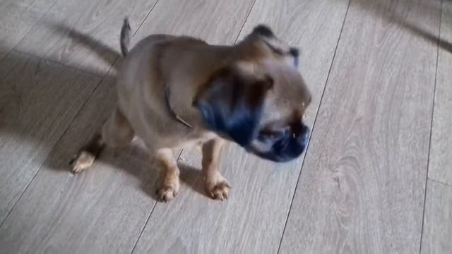 Брабансон Марта