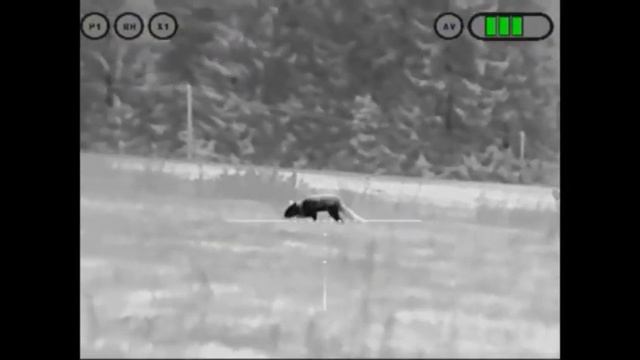 video1 смотреть онлайн