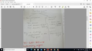 Phytochromes  Taiz-Zeiger photorecrptors part 1