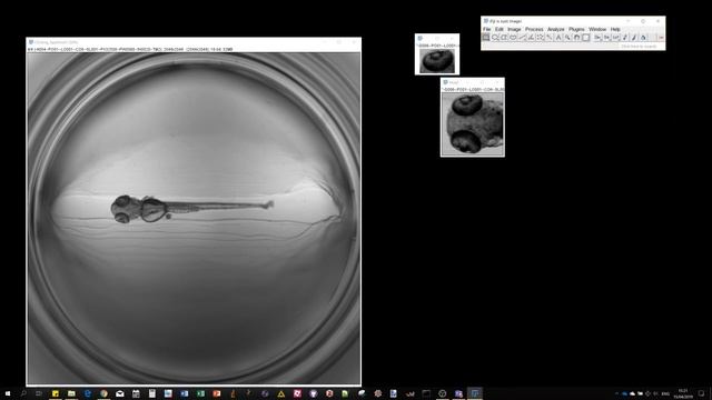 3. Multi-Template-Matching in Fiji : Macro Recording