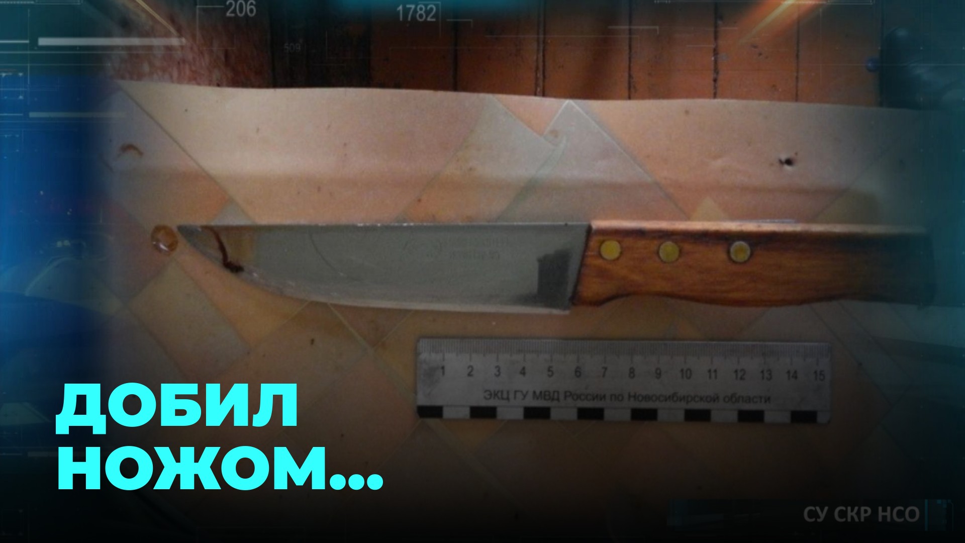 Добил ножом: житель Куйбышевского района расправился с соседкой-пенсионеркой