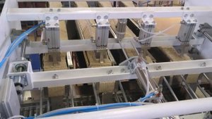 Упаковка хлебцов в флоупак на машине "БЕТА-ФП"