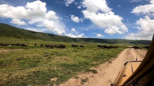 Сафари Танзания! Crater Ngorongoro tanzani 2021!Сафари Танзания! Кратер Нгоронгоро Танзания!