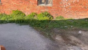 Диодная RGB подсветка с OZONа за 400Р в KIA SPECTRA!