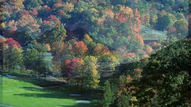 David Gilmour - Sonnet 18 - William Shakespeare - ( IcMp4HD ) смотреть онлайн