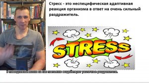 Стрессоустойчивость