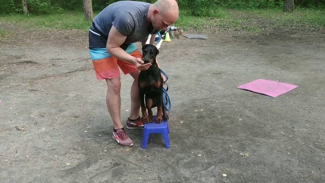 КМС - 141 (вк-60). смотреть онлайн