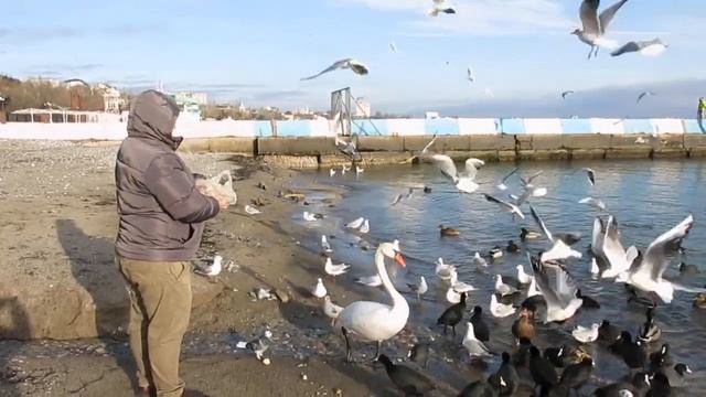 Набережная Феодосии смотреть онлайн