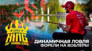 ФИНАЛ King of Wobblers 2024! Динамичная ЛОВЛЯ ФОРЕЛИ на ВОБЛЕРЫ. КТО примет ВЫЗОВ на TROUT MASTER