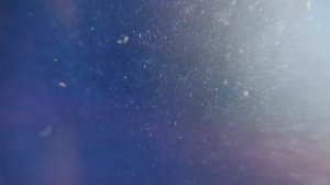 Инфузория туфелька просто и легко!