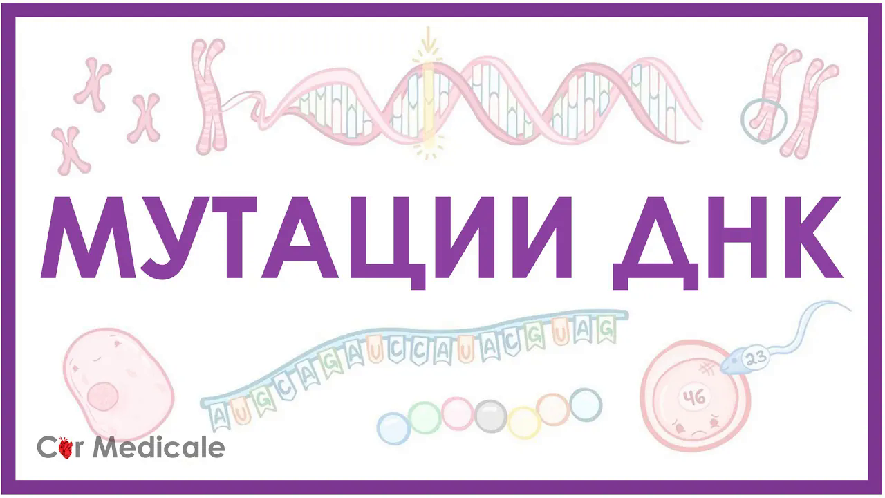 Мутации ДНК - генные, хромосомные, геномные ｜ делеция, транслокация, инверсия - кратко